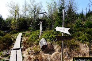 Lotharpfad Schwarzwaldhochstraße