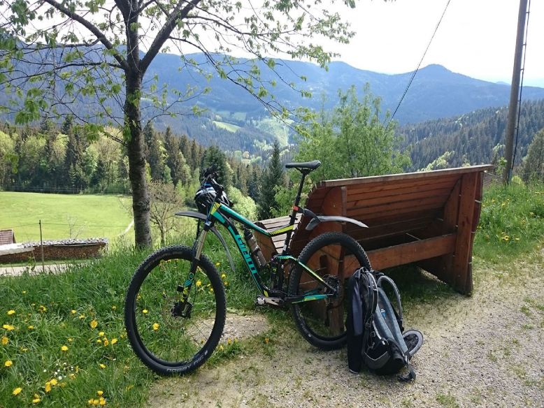 Aussicht vom Kupferberg nach Schapbach