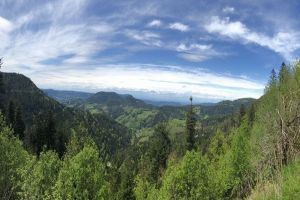 Blick vom Westweg ins Renchtal